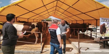 -TEKIRDAGDA-KURBAN-PAZARINDA-SIKI-DENET_1