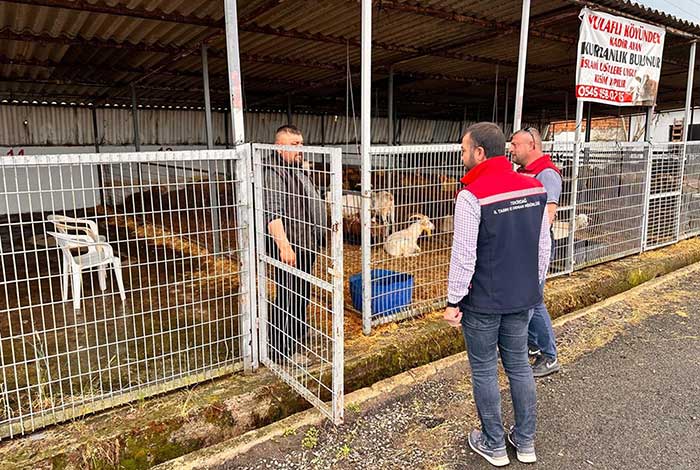 Kurban Pazarlarına Sıkı Denetim 1 TEKIRDAGDA KURBAN PAZARINDA SIKI DENET 2